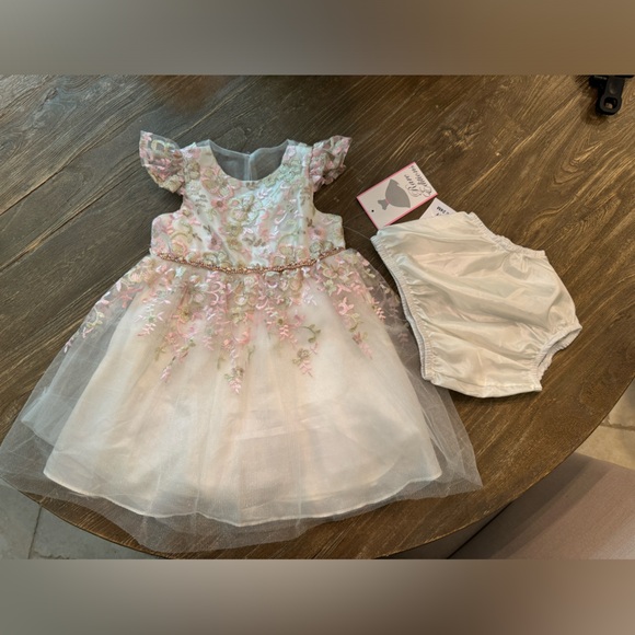 NWT Rare Editions Baby Girl Embroidered Dress with Matching Bloomers 24 Months - Picture 3 of 7